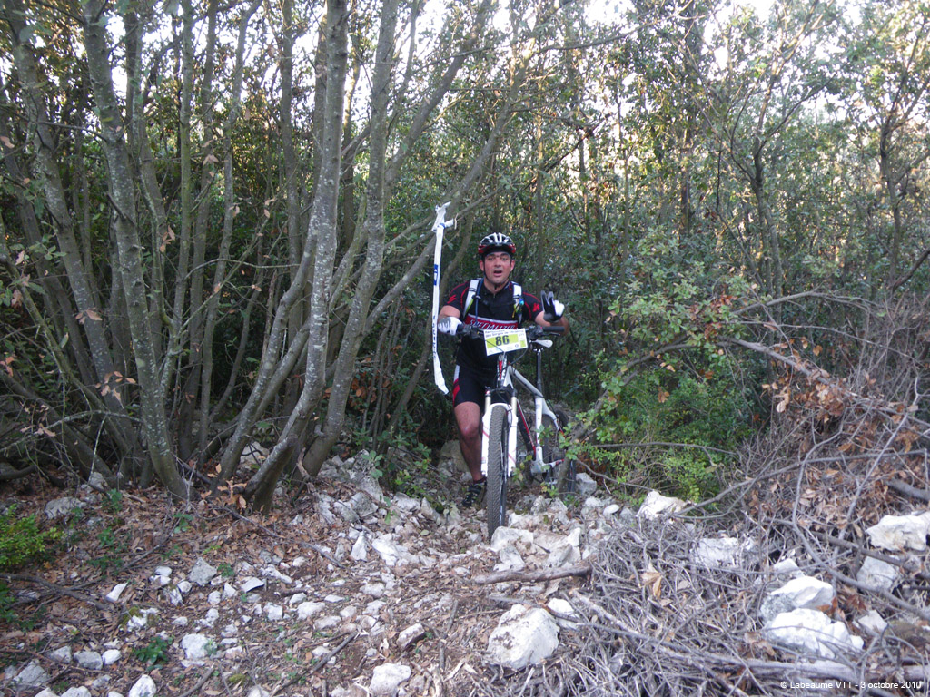 20101003_23