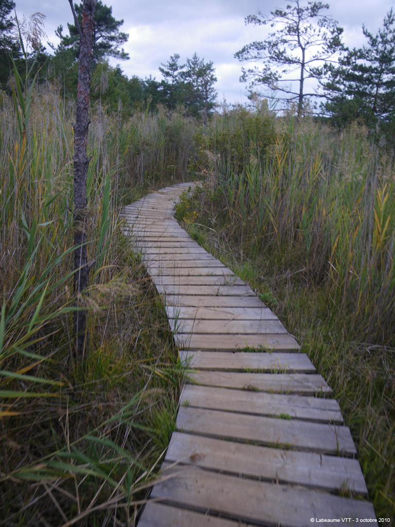 20101003_49