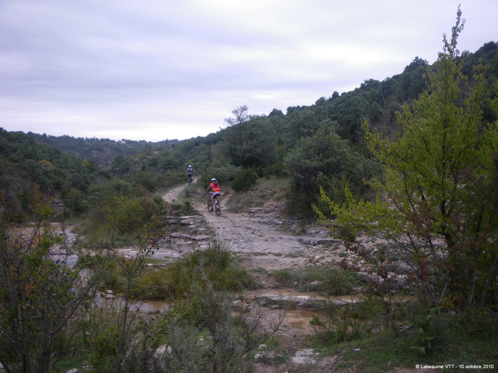 20101010_028