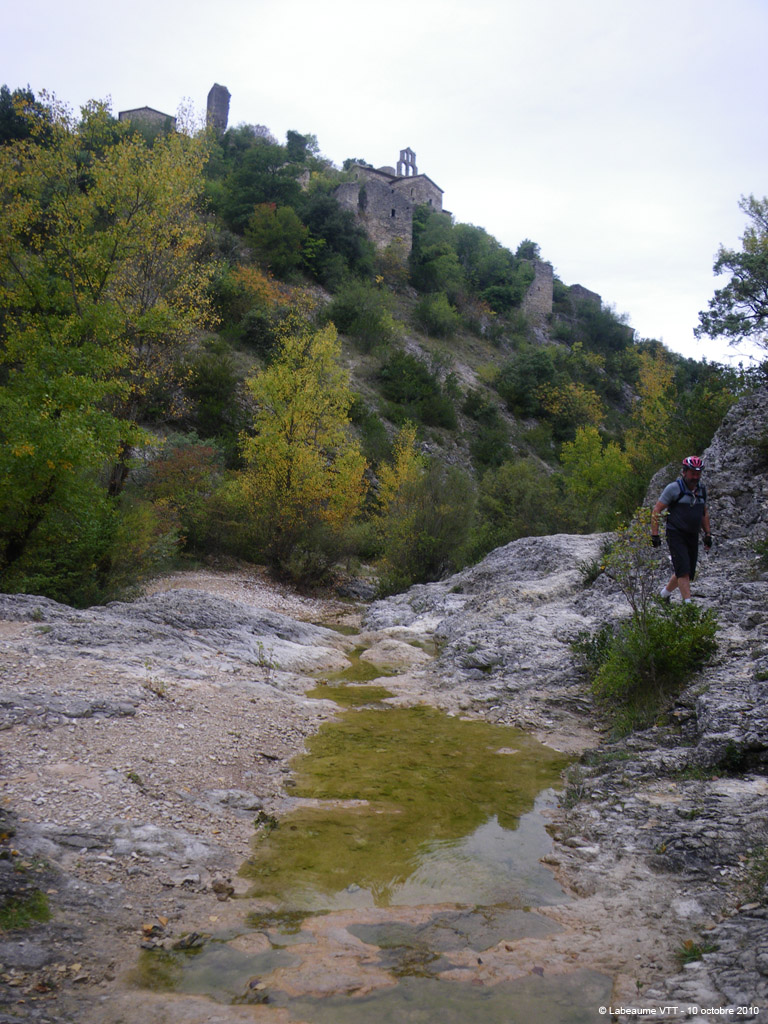 20101010_047