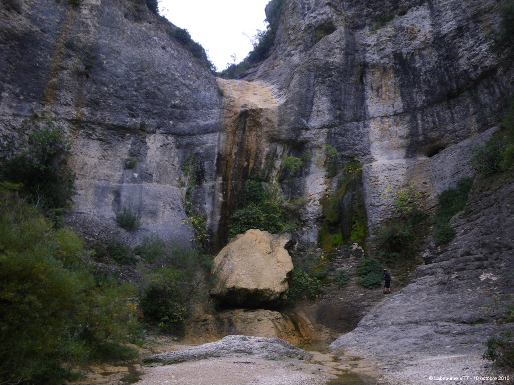 20101010_050