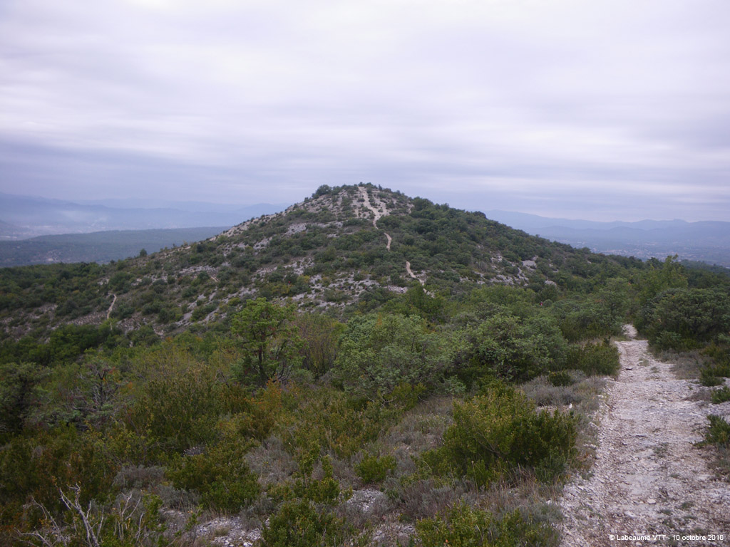 20101010_096