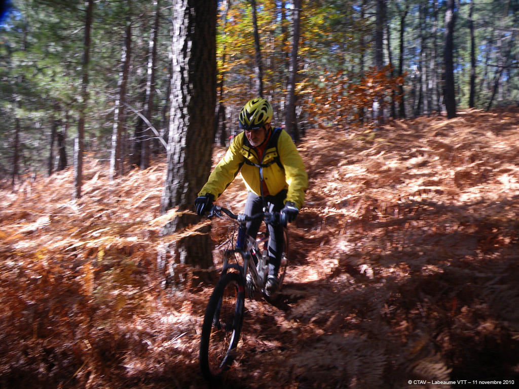 20101111_103