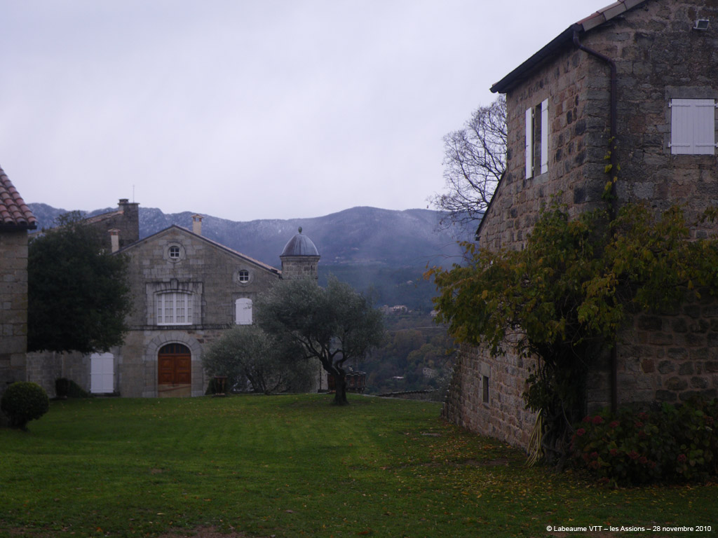 20101128_53