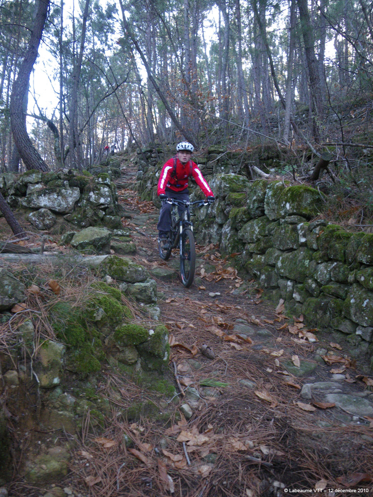 20101212_093