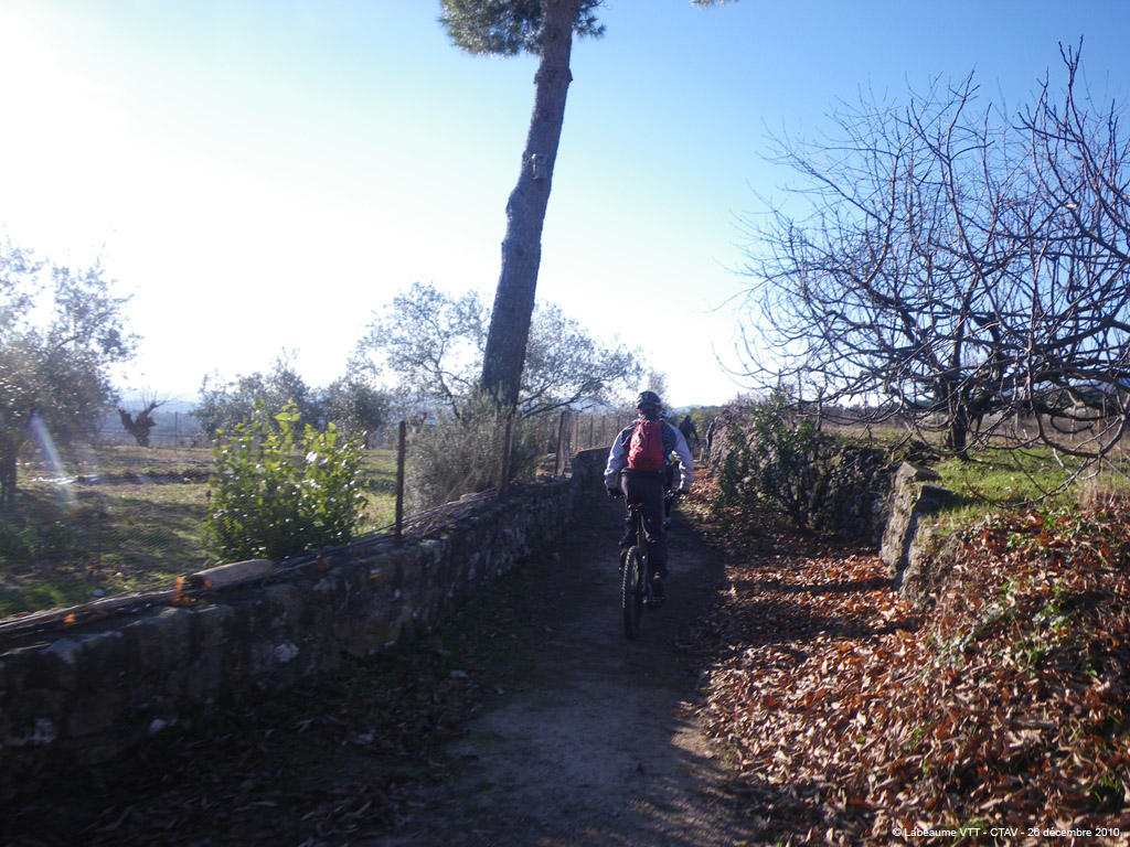 20101226_32