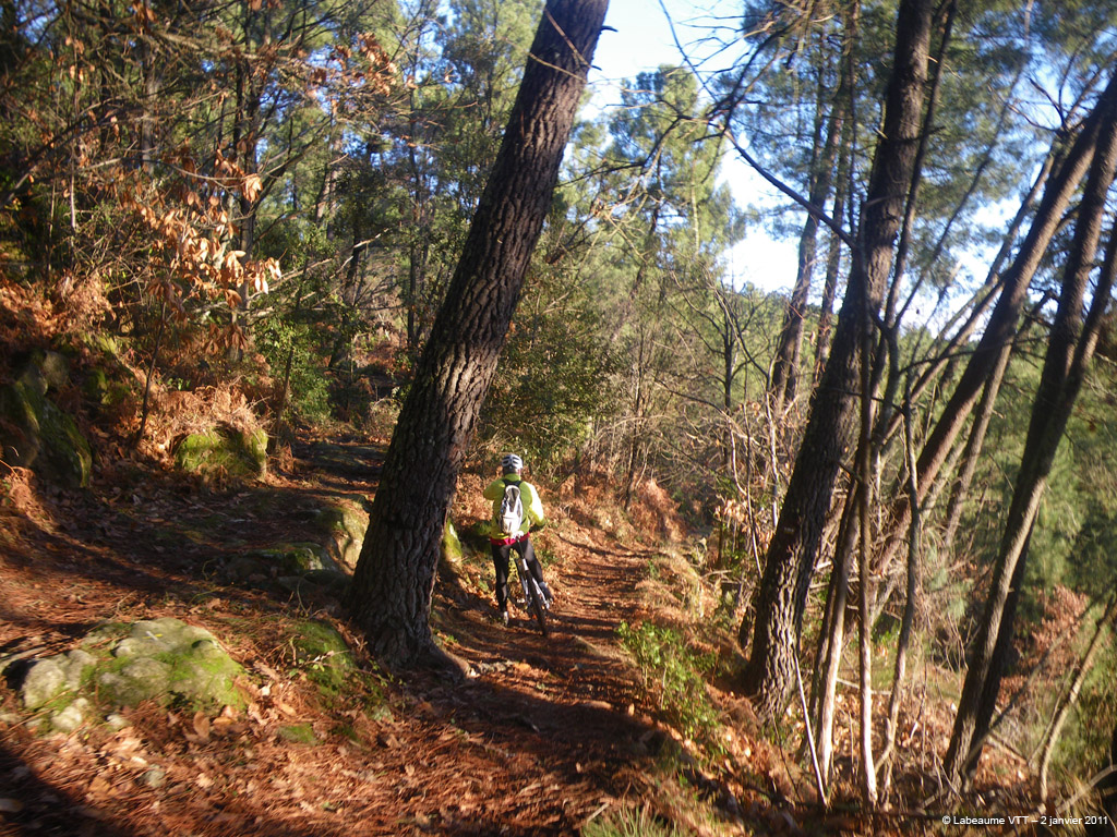 20110102_007