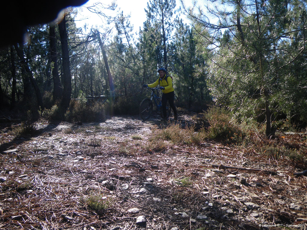 20110102_067