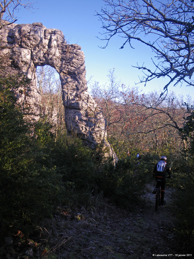 20110116_029