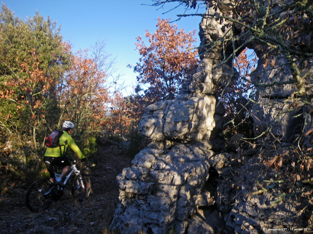 20110116_034
