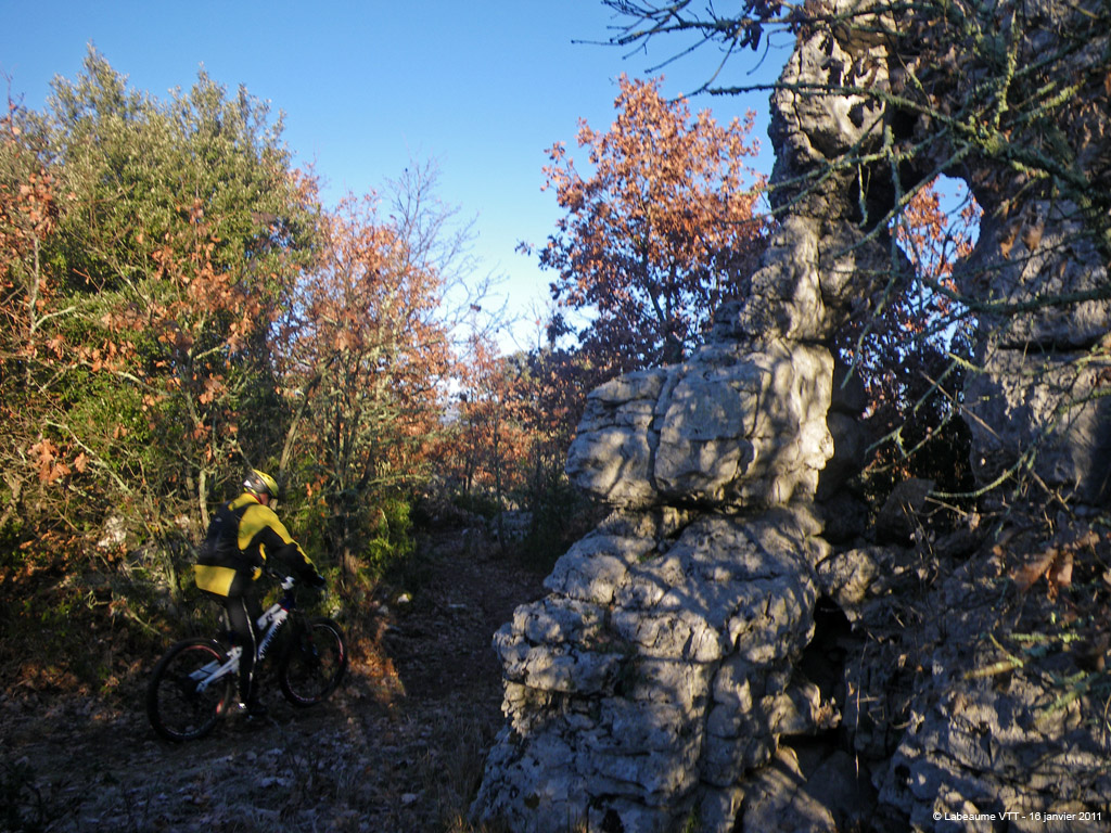 20110116_036