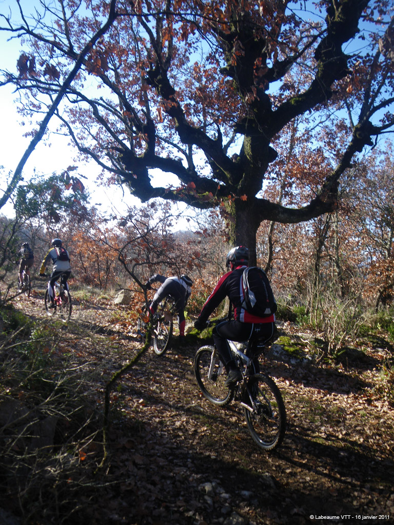 20110116_114