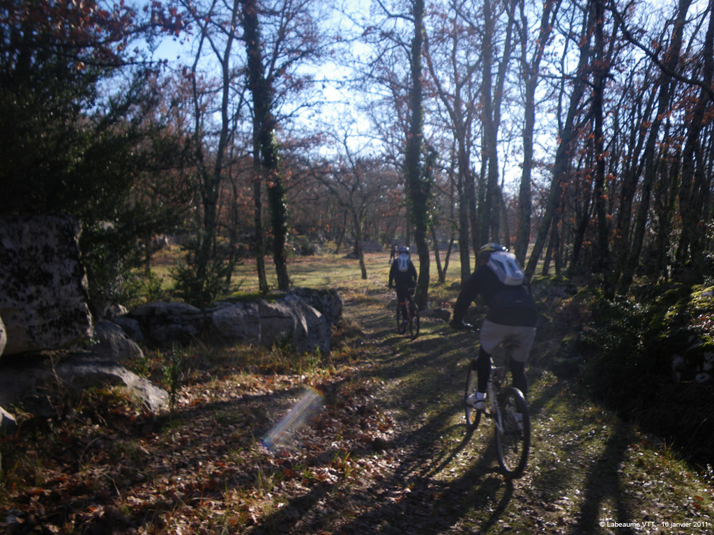 20110116_128