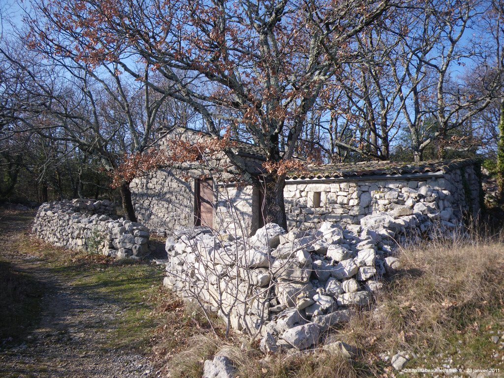 20110123_078