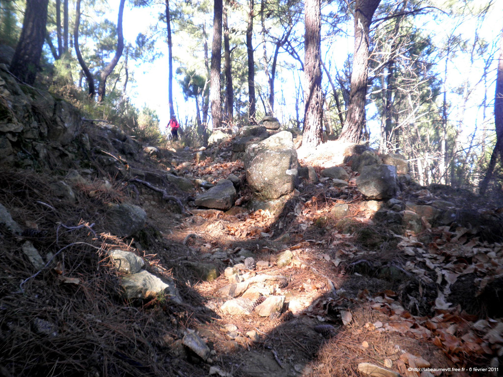 20110206_76