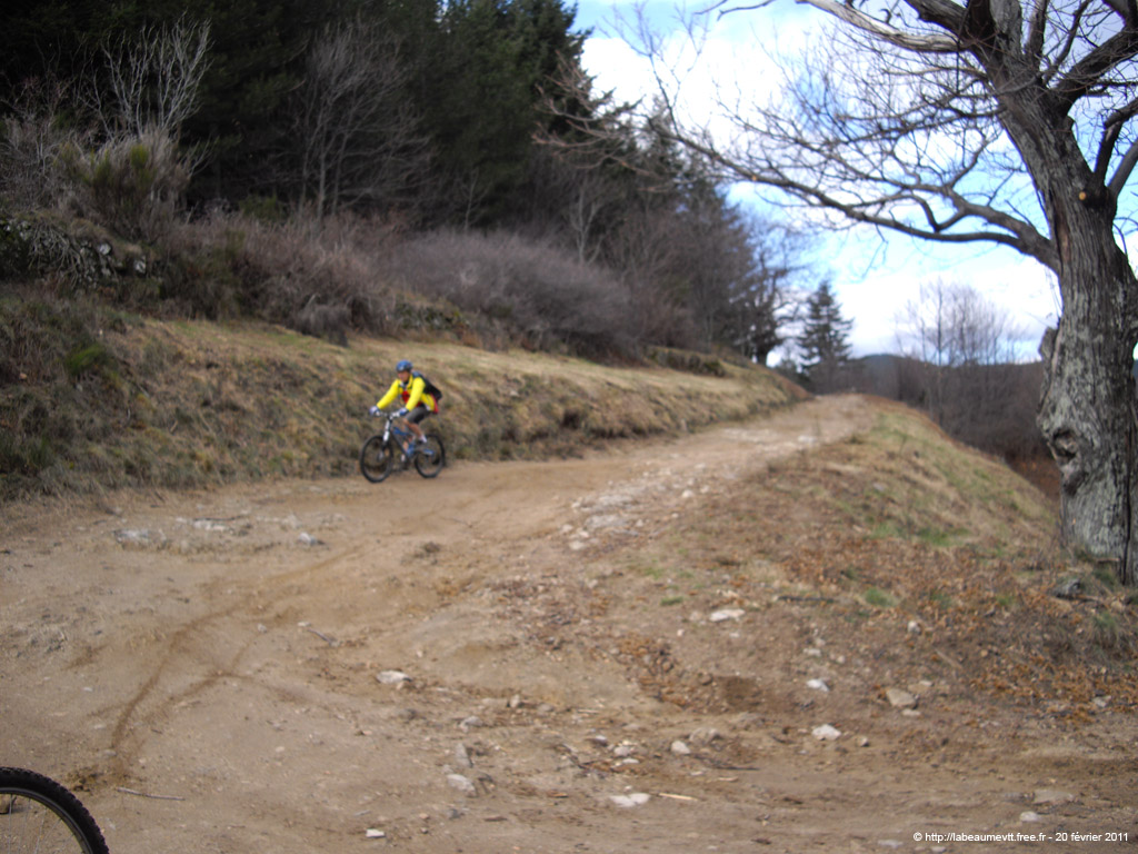 20110220_50