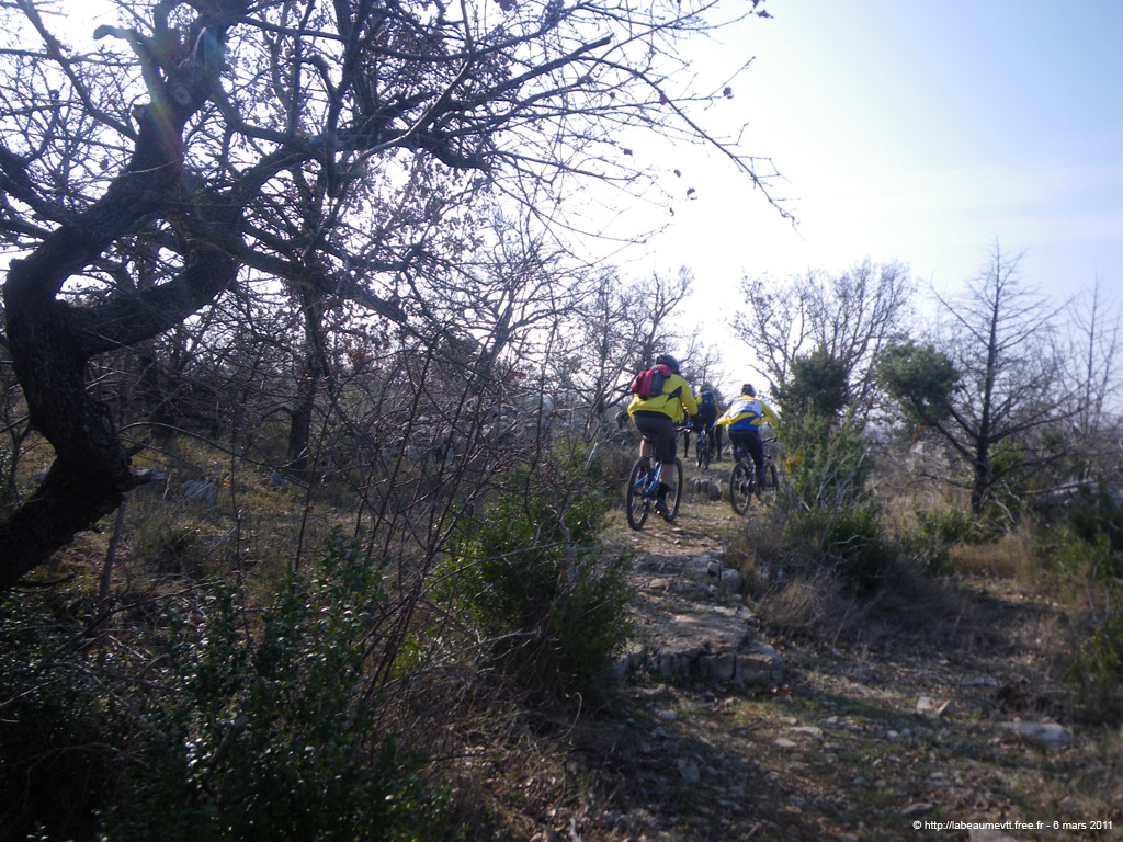 20110306_078