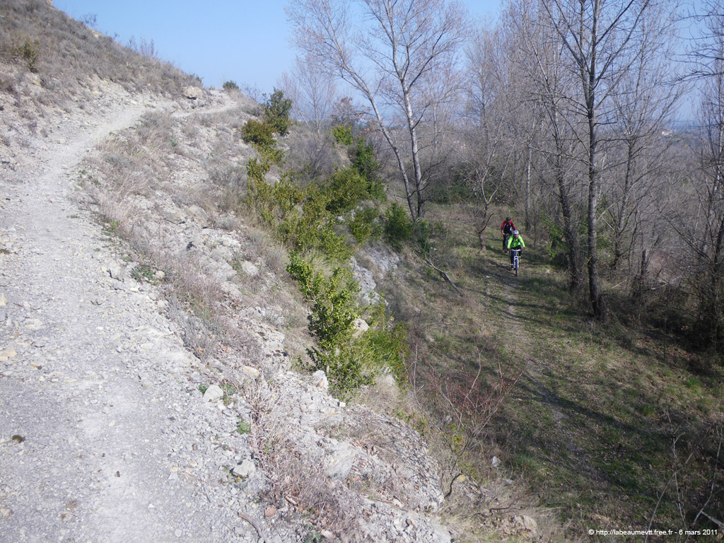 20110306_123
