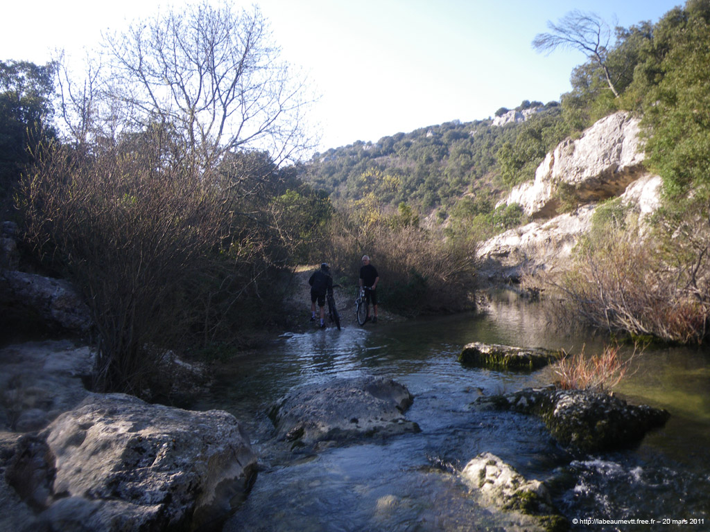 20110320_030