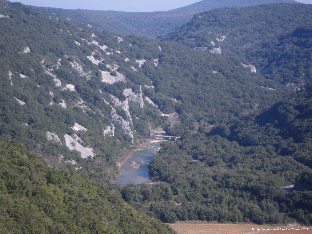 20110320_080