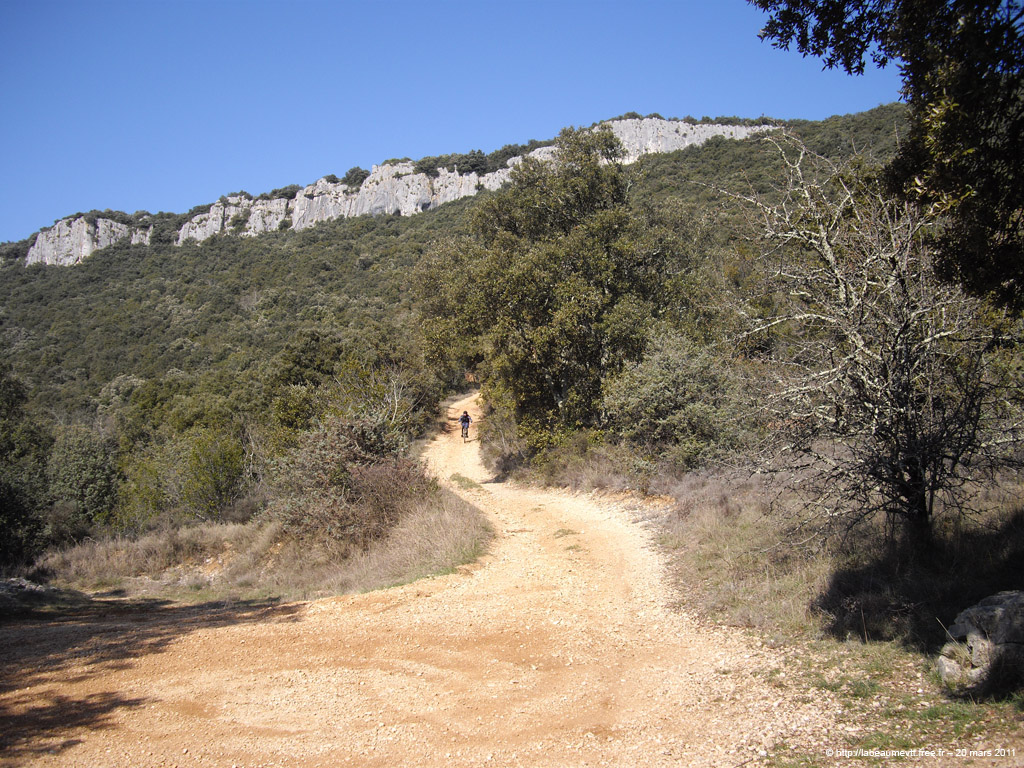 20110320_114