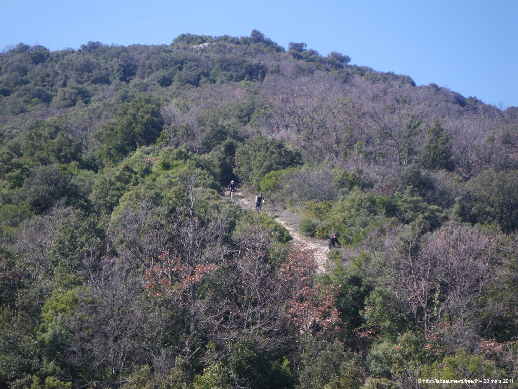 20110320_178