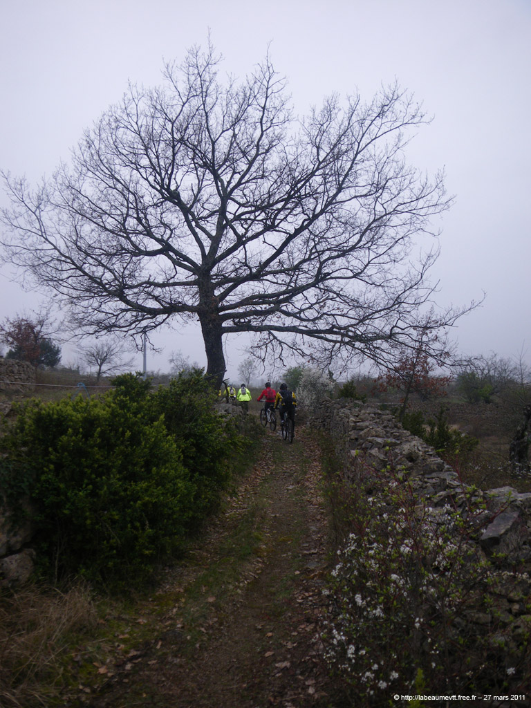 20110327_14