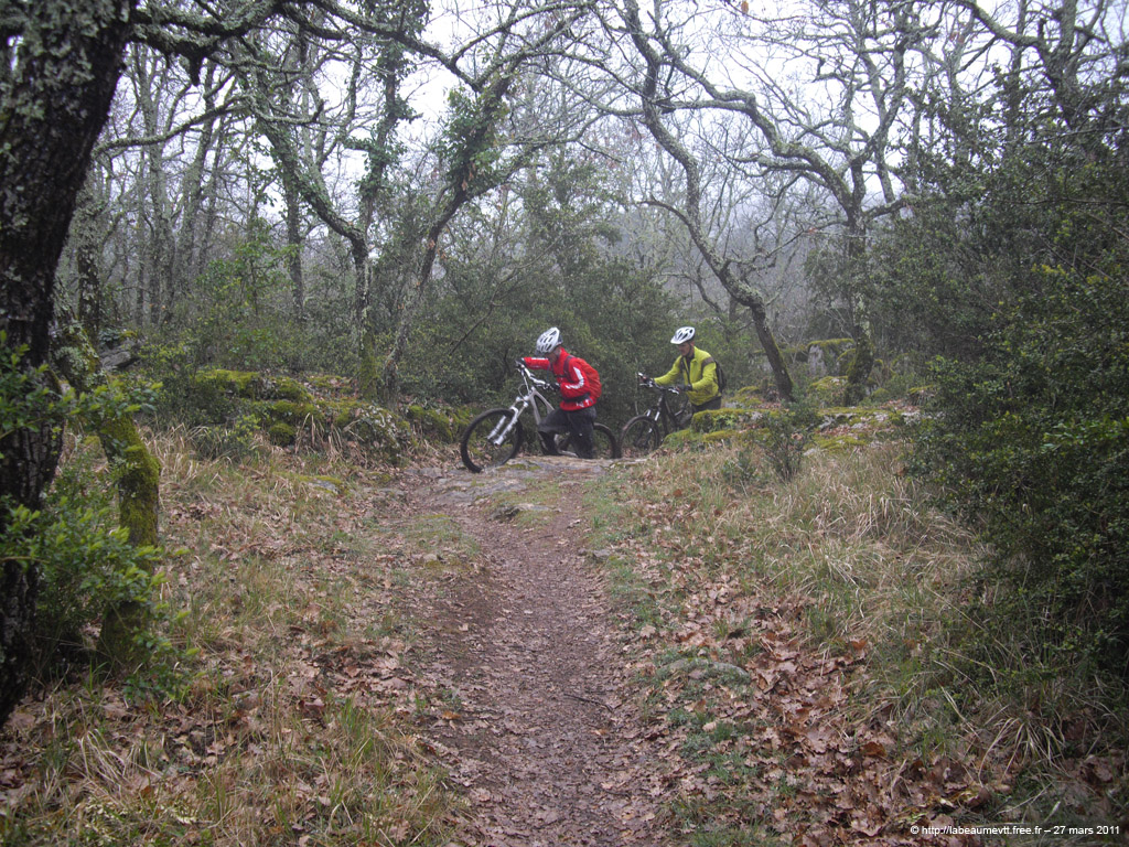20110327_73