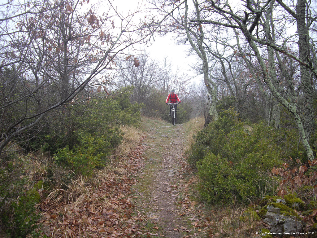 20110327_74
