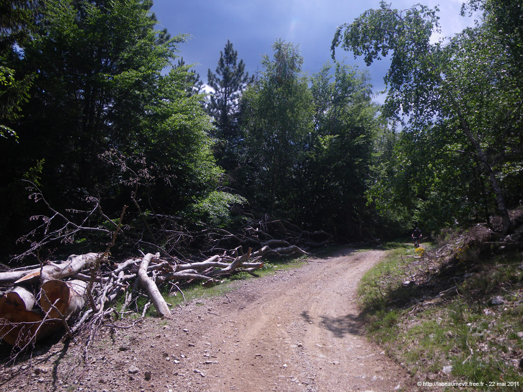 20110522_134