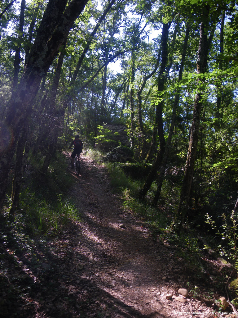 20110529_065