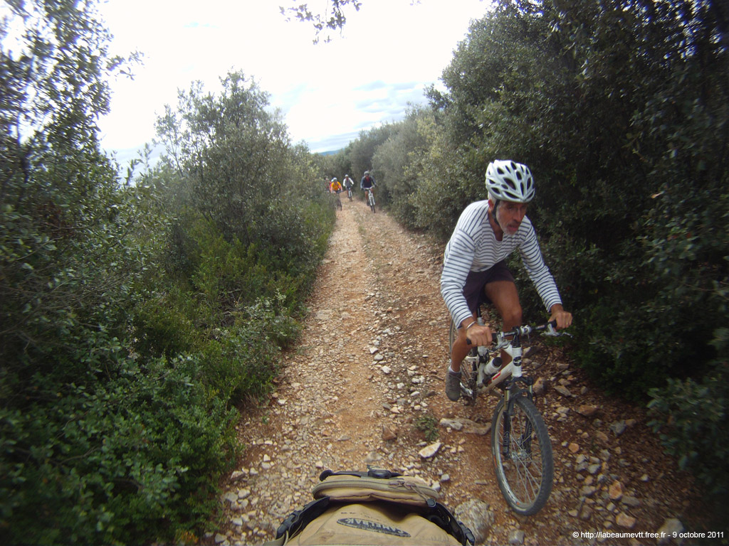 20111009_270