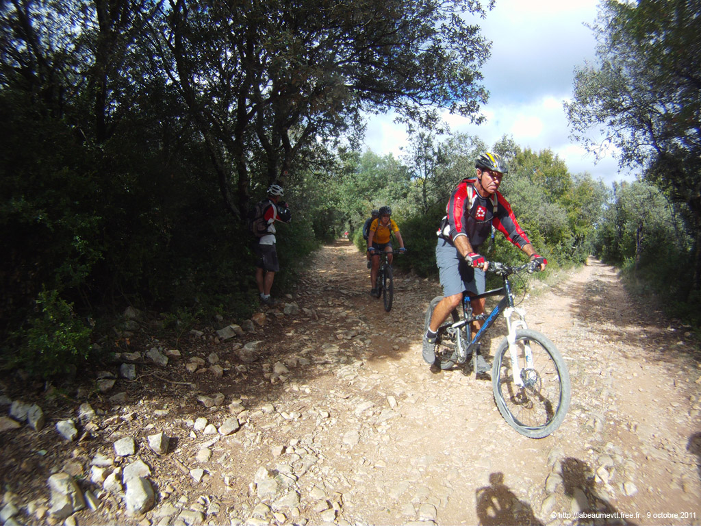 20111009_299