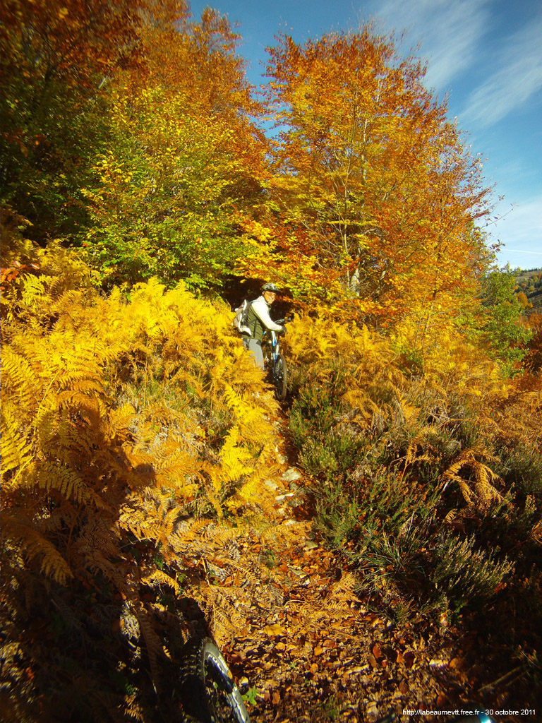 20111030_058