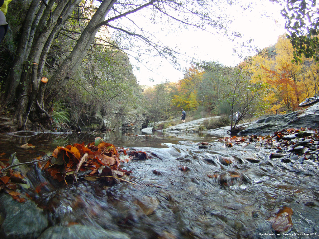 20111030_094