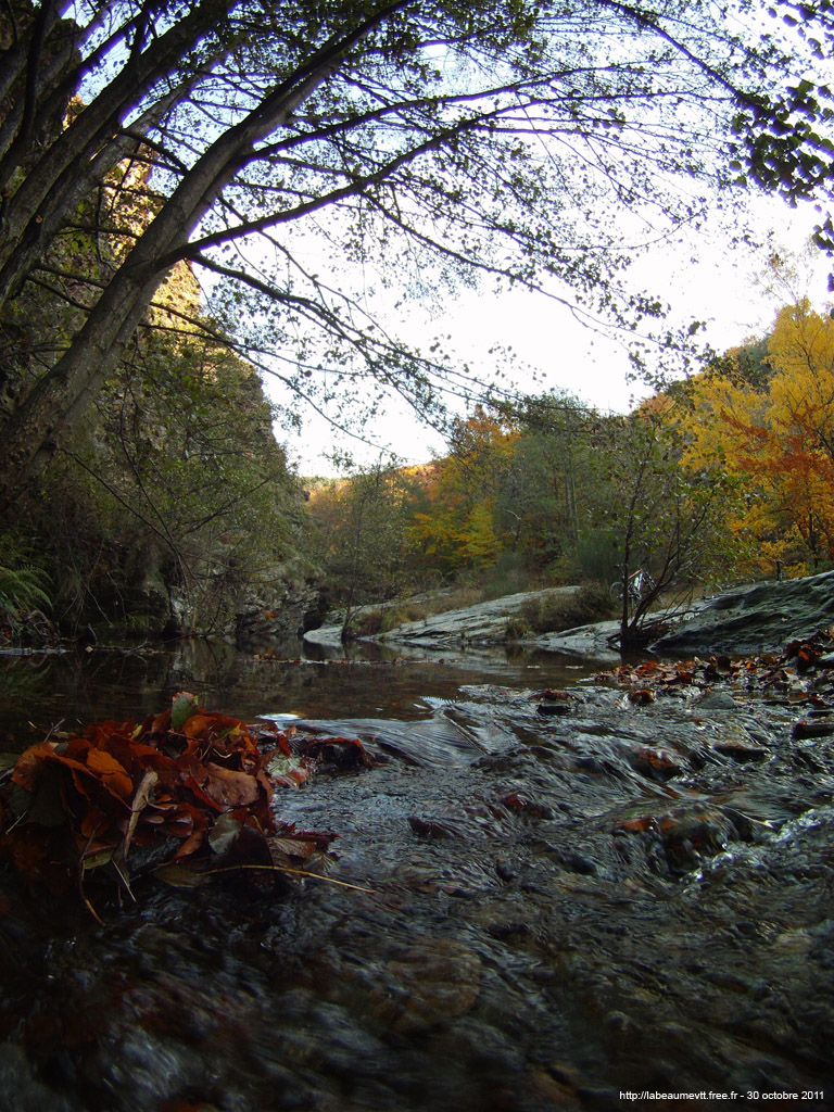20111030_097