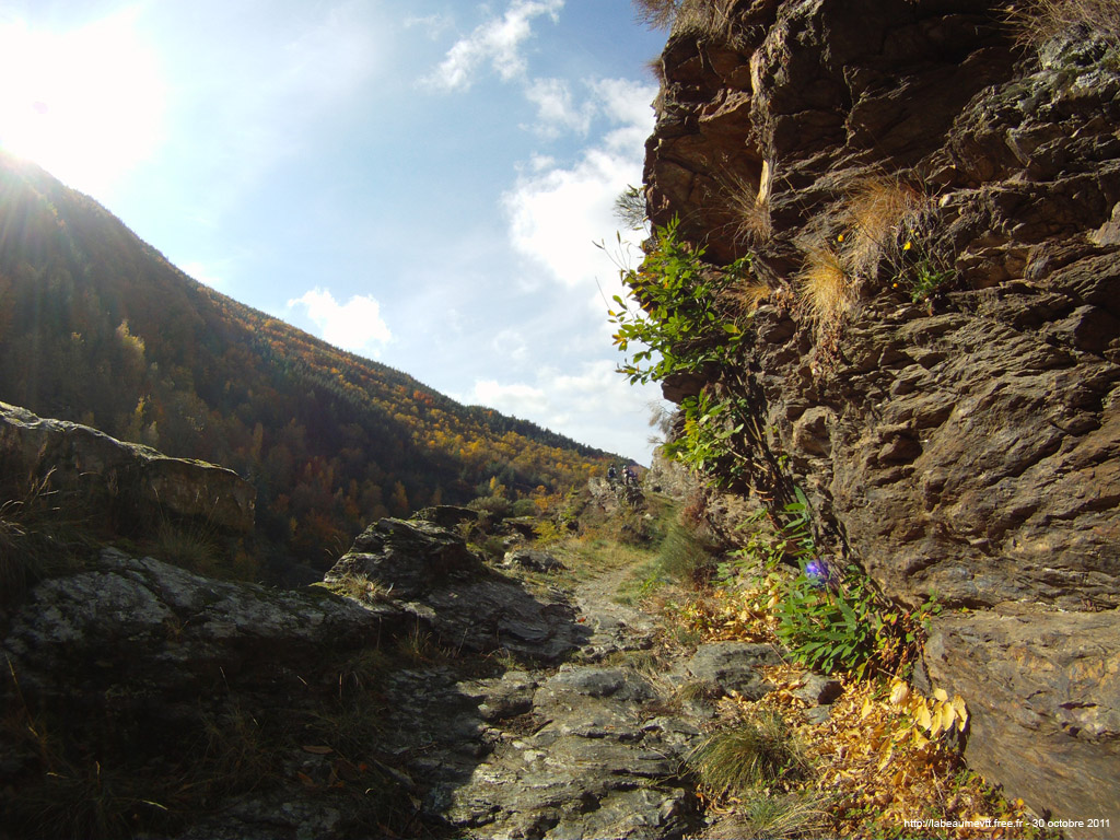20111030_116