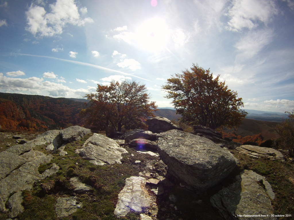 20111030_263