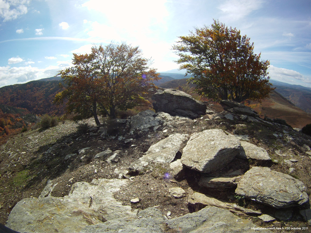 20111030_266