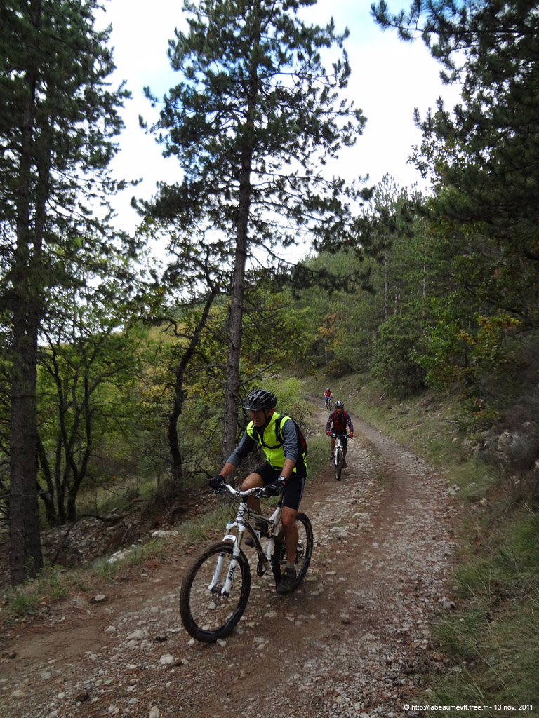 20111113_115