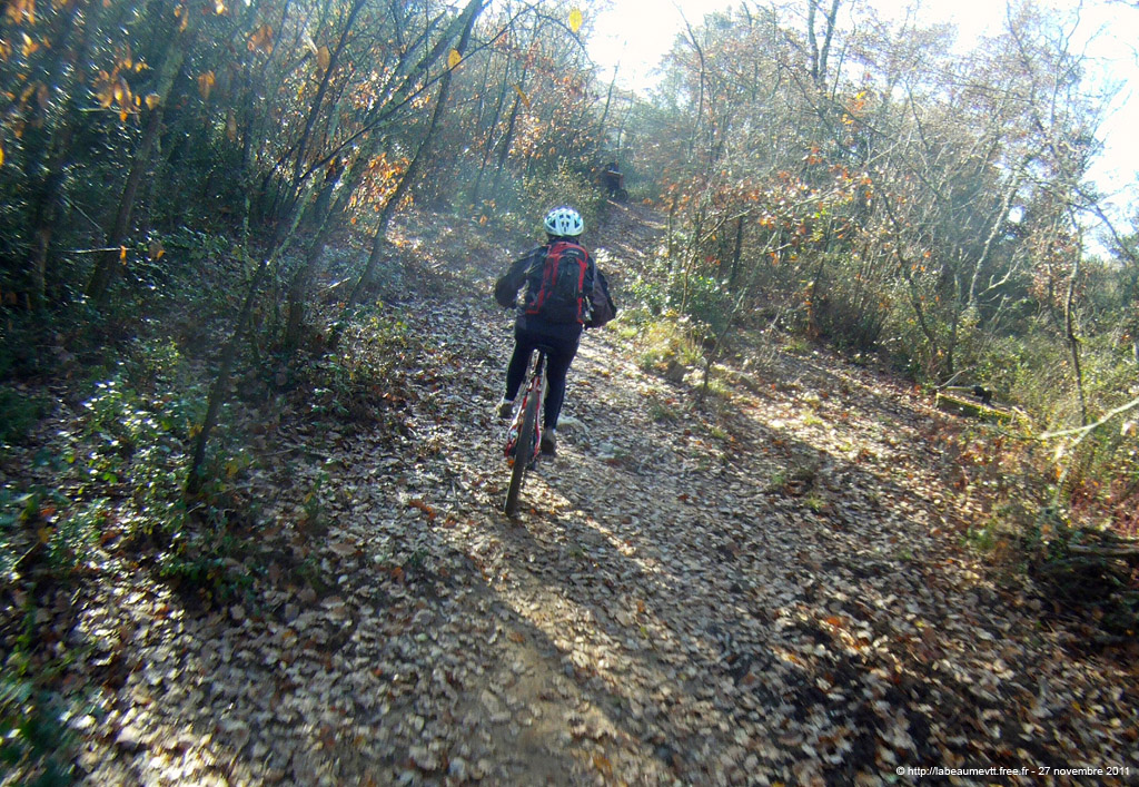 20111127_068