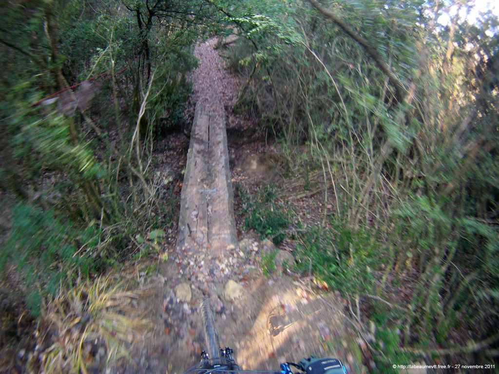 20111127_084