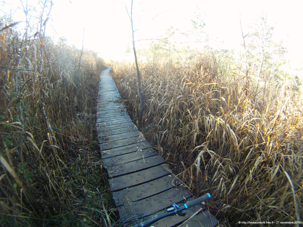 20111127_089