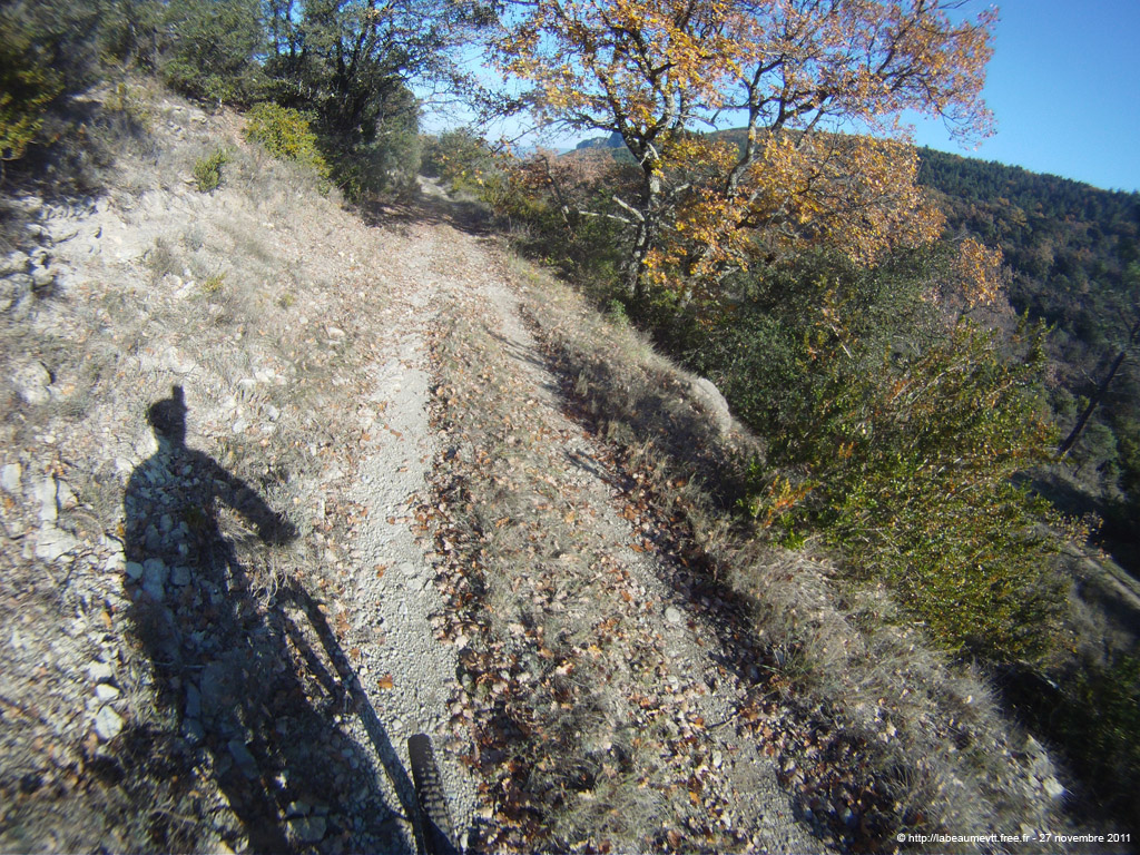 20111127_112