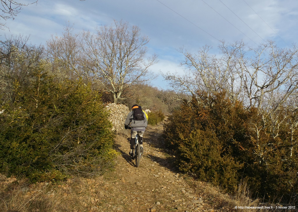 20120205_003