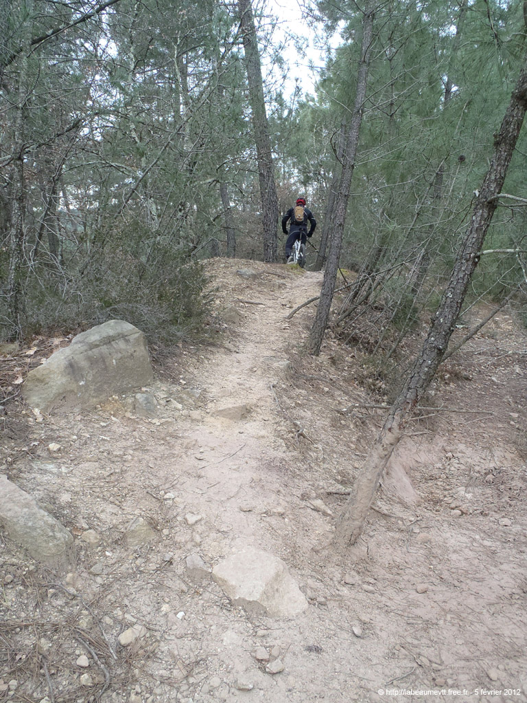 20120205_057