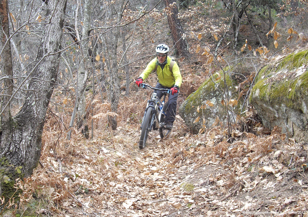 20120205_080