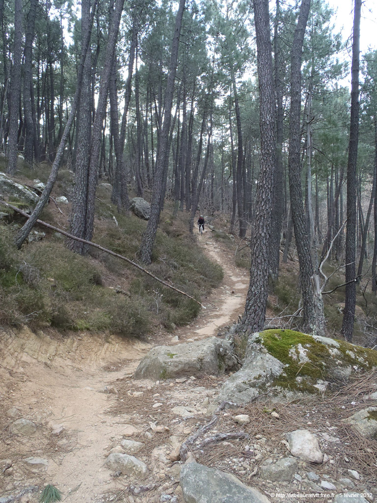 20120205_140