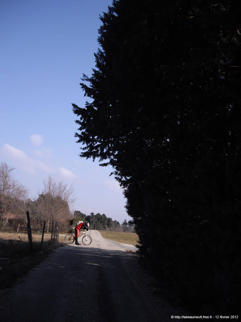 20120212_042