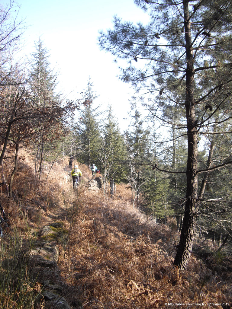 20120212_061